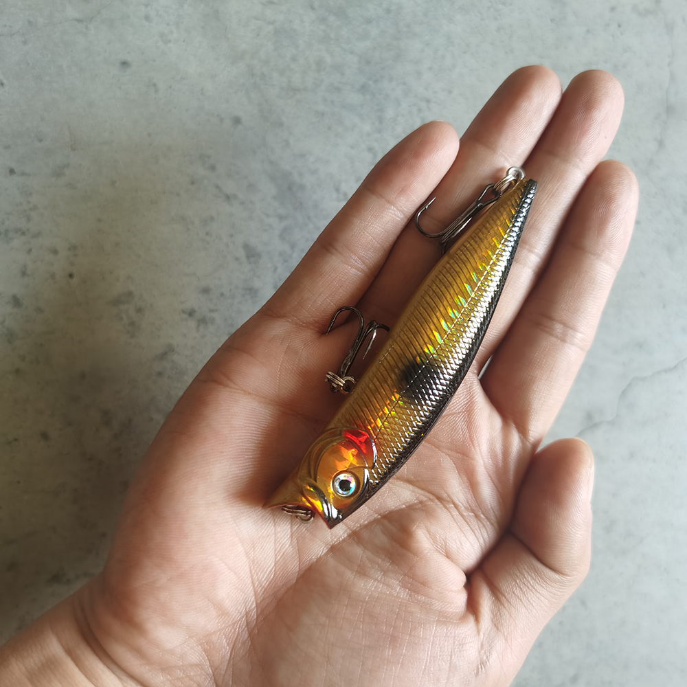 1pcs Fishing Lures High Qualit - Fishing Lure Topwater recension och pris